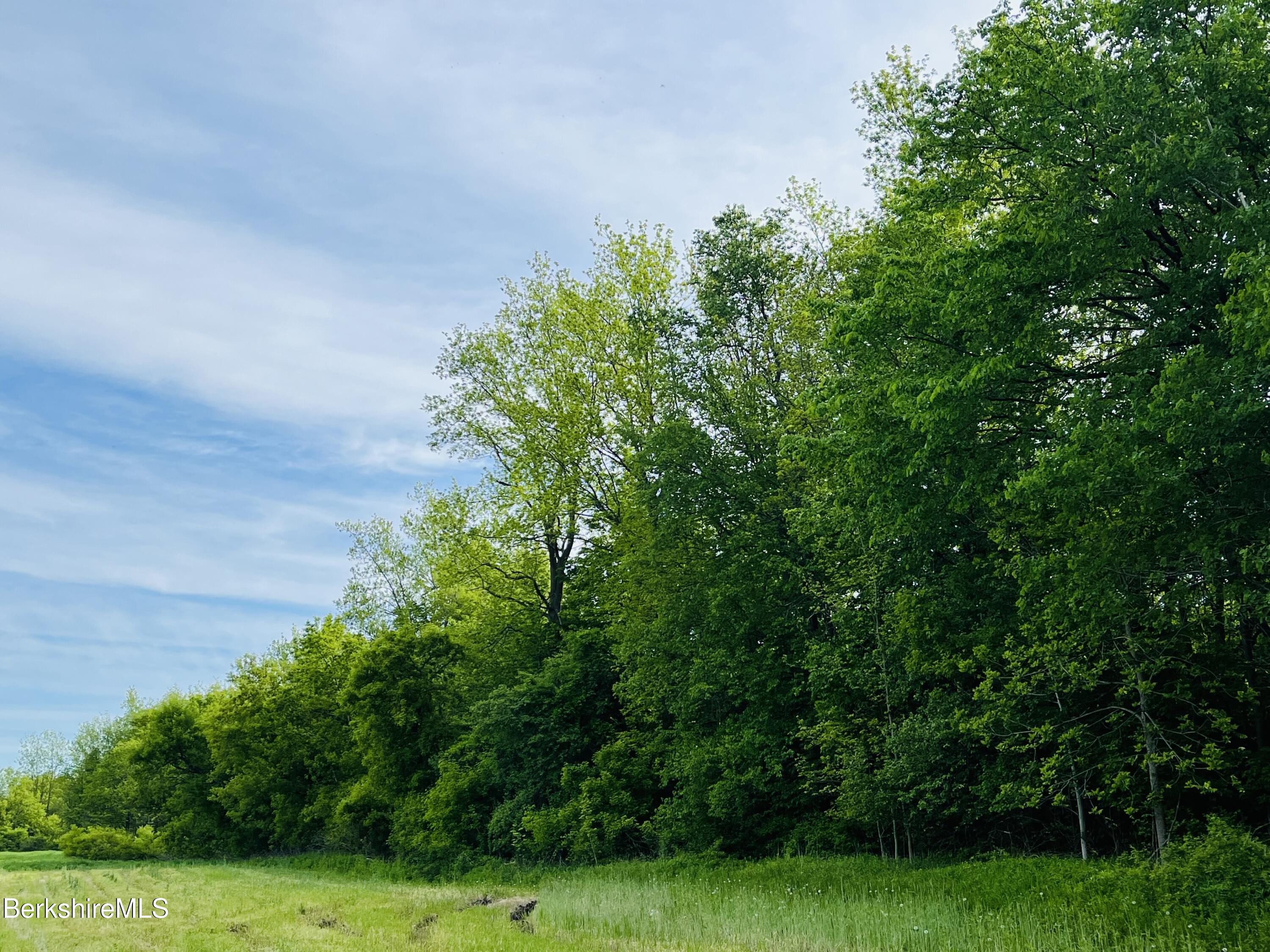 128 East Hoosac Street Adams, MA 01220 - Photo 11 of 15 Tree Line