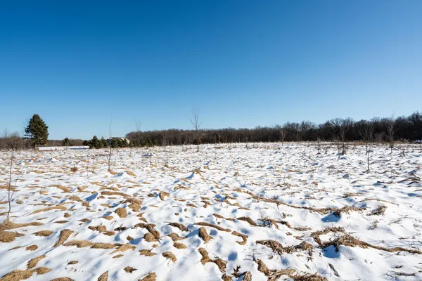 $110,000 | 196-xx 196-xx 346th Taylors Falls, Taylors Falls, MN 55084