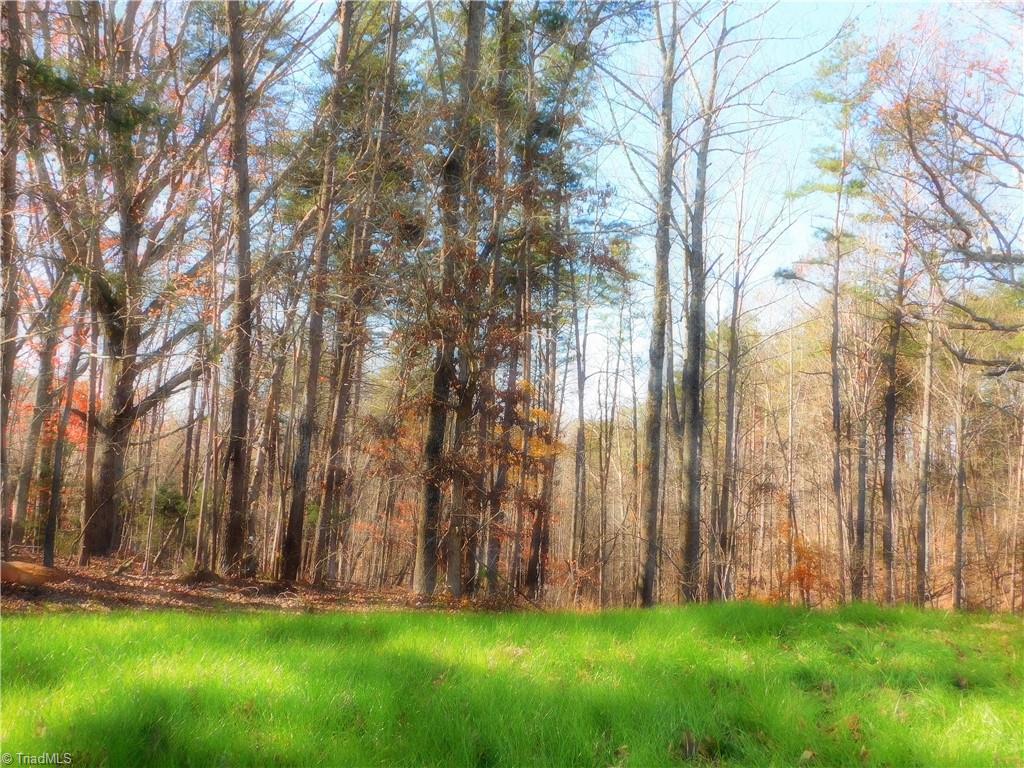 3508 Mountain View Road Germanton, NC 27019 - Photo 20 of 26 Gallery Image 20