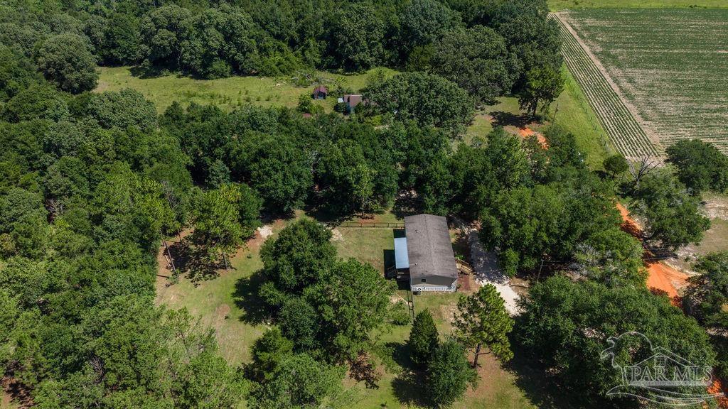 6885 Dora Lee Killam Road Century, FL 32535 - Photo 43 of 47 Gallery Image 43