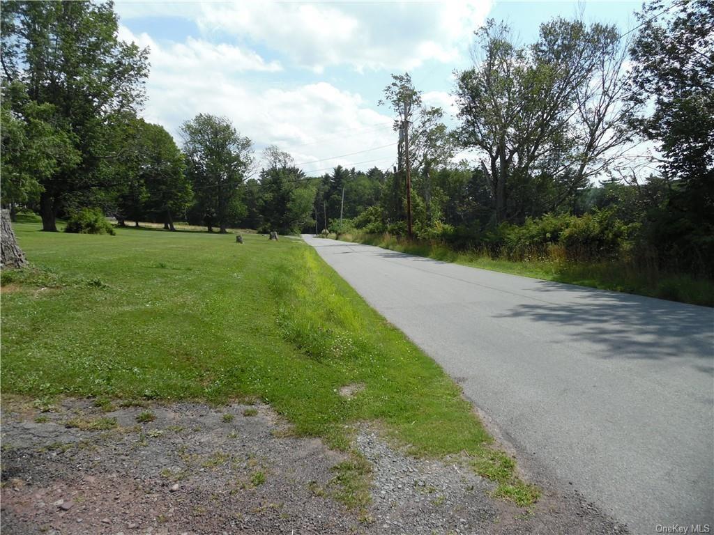 105 Dr Duggan Road Bethel, NY 12720 - Photo 28 of 29 View of street