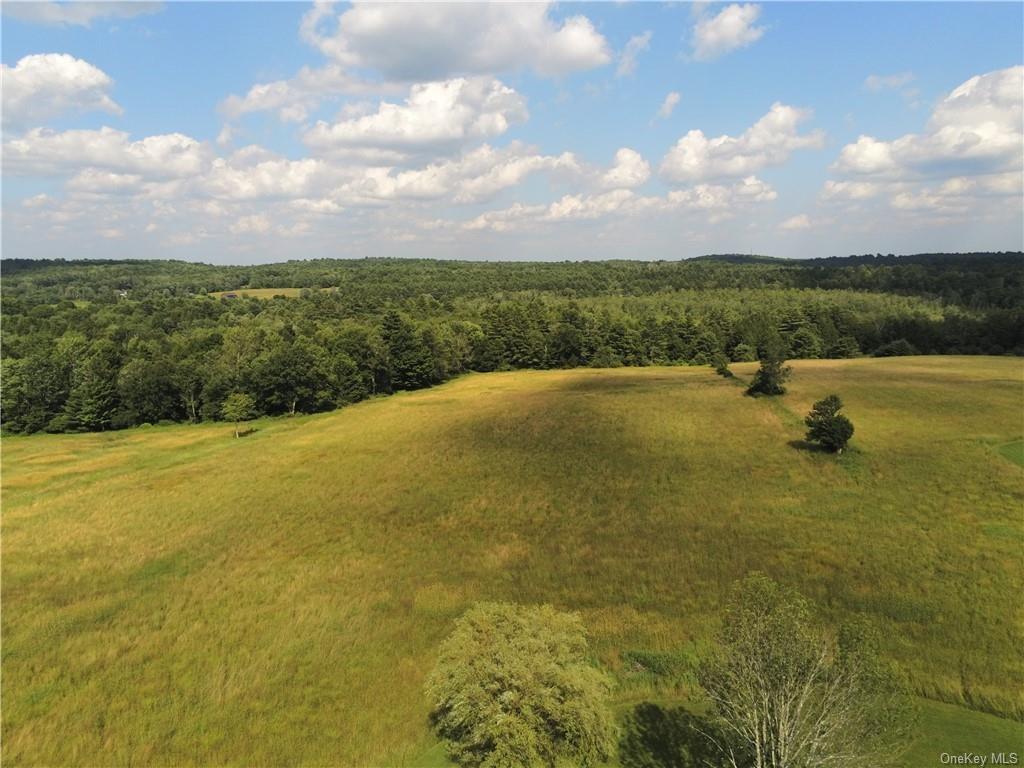 105 Dr Duggan Road Bethel, NY 12720 - Photo 3 of 29 Birds eye view of property with a rural view