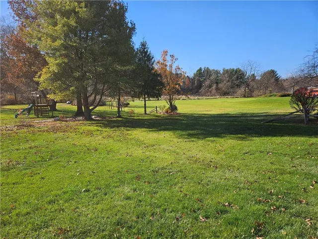 a view of a park with large trees
