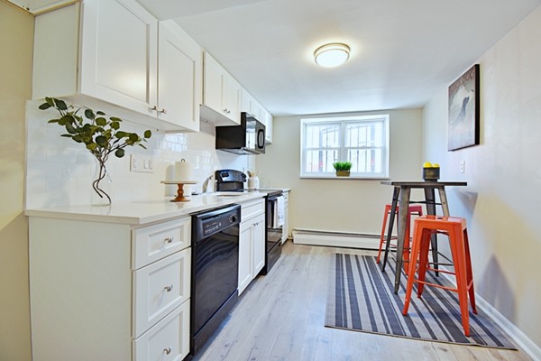 41 Colborne Road, Unit B1 Boston, MA 02135 - Photo 15 of 24 Gallery Image 15