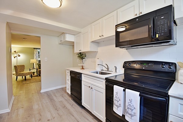 41 Colborne Road, Unit B1 Boston, MA 02135 - Photo 18 of 24 Gallery Image 18