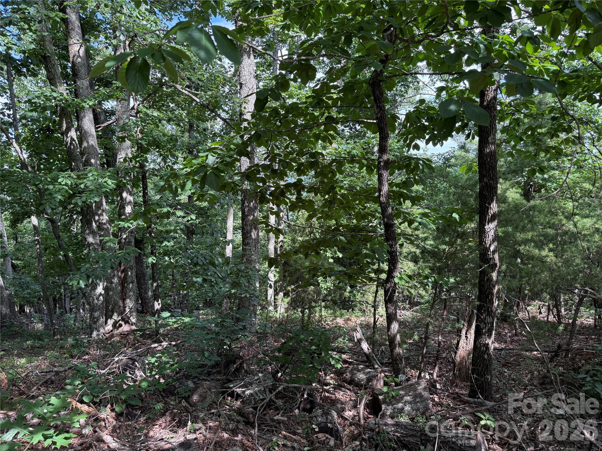 0 Arbra Mountain Road, Unit 54 Bostic, NC 28018 - Photo 6 of 11