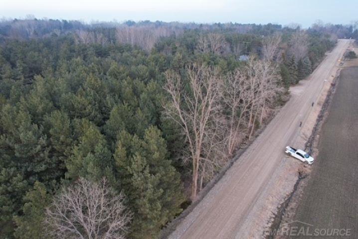 Mann Rd Port Port Sanilac, MI 48469 - Photo 4 of 20