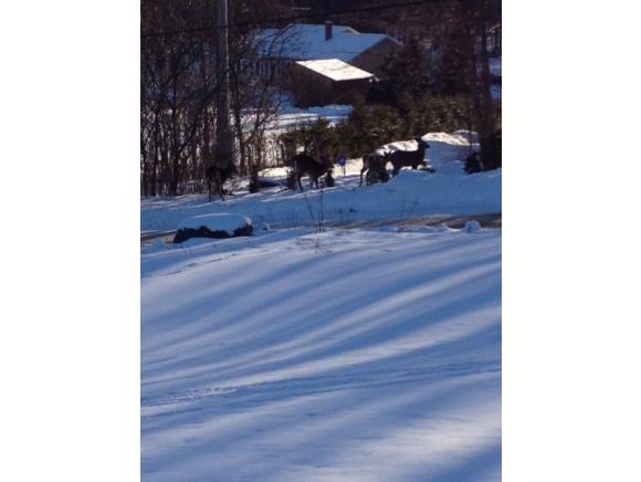 4026 Rollo Road Highgate, VT 05488 - Photo 24 of 29