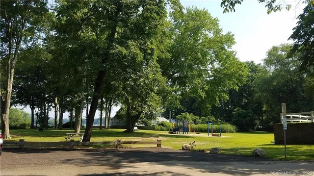 a view of a park with large trees