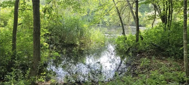 a view of lake with green space
