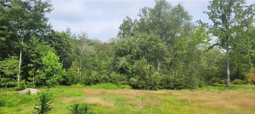 287 Boston Post Road Old Lyme, CT 06371 - Photo 4 of 17 a view of a yard with a tree
