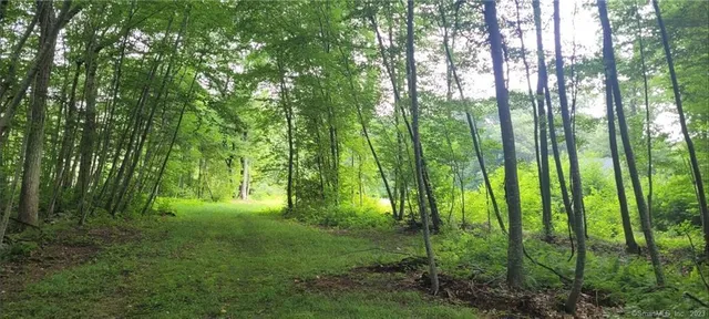 a view of outdoor space and green space