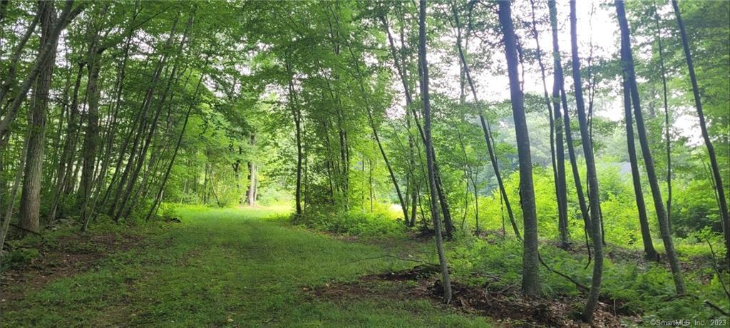 287 Boston Post Road Old Lyme, CT 06371 - Photo 5 of 17 a view of outdoor space and green space