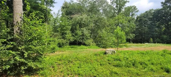 a view of a lush green space