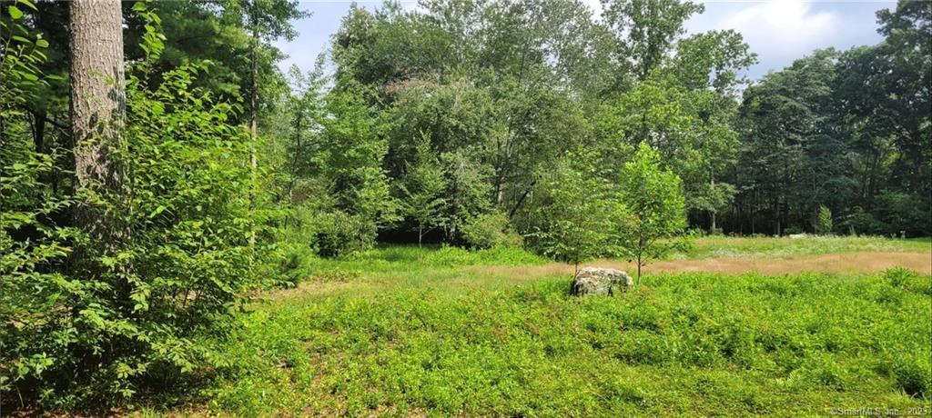 287 Boston Post Road Old Lyme, CT 06371 - Photo 5 of 17 a view of a lush green space