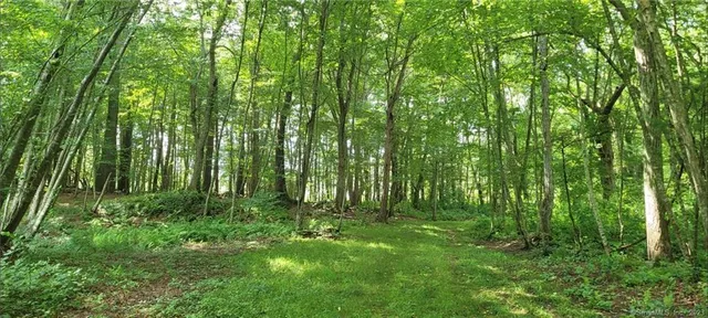 a view of outdoor space and deck