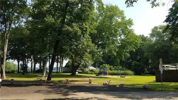 a view of a park with large trees