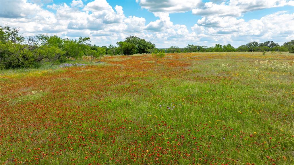 Lot 2 County Road 277 Dublin, TX 76446 - Photo 5 of 6 a view of an ocean from a yard