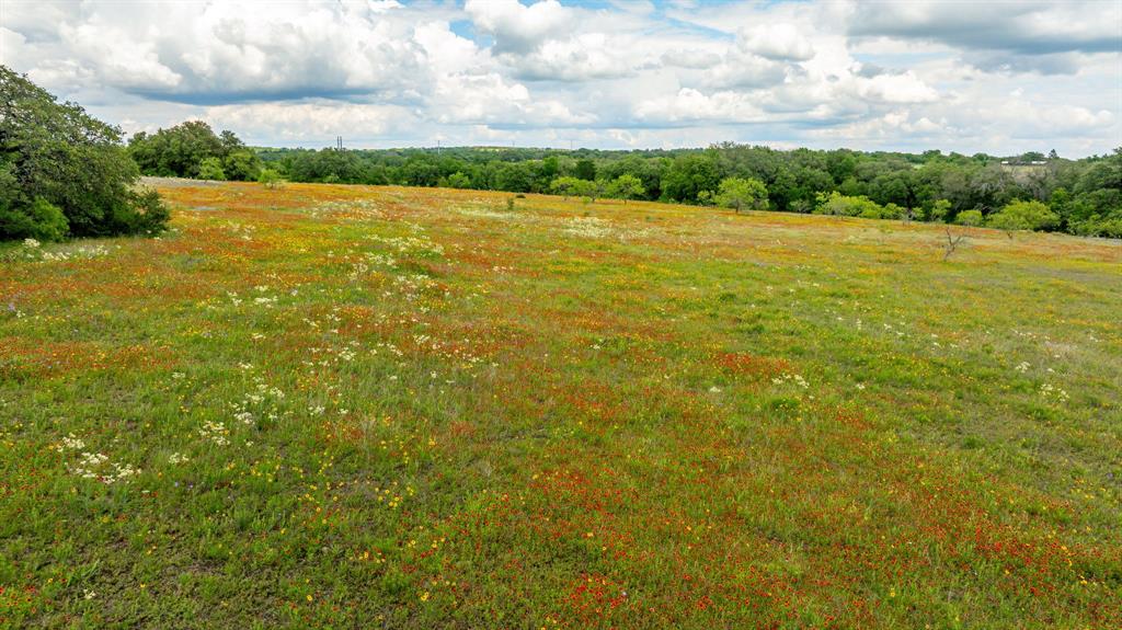 Lot 2 County Road 277 Dublin, TX 76446 - Photo 6 of 6 a view of an ocean from a yard