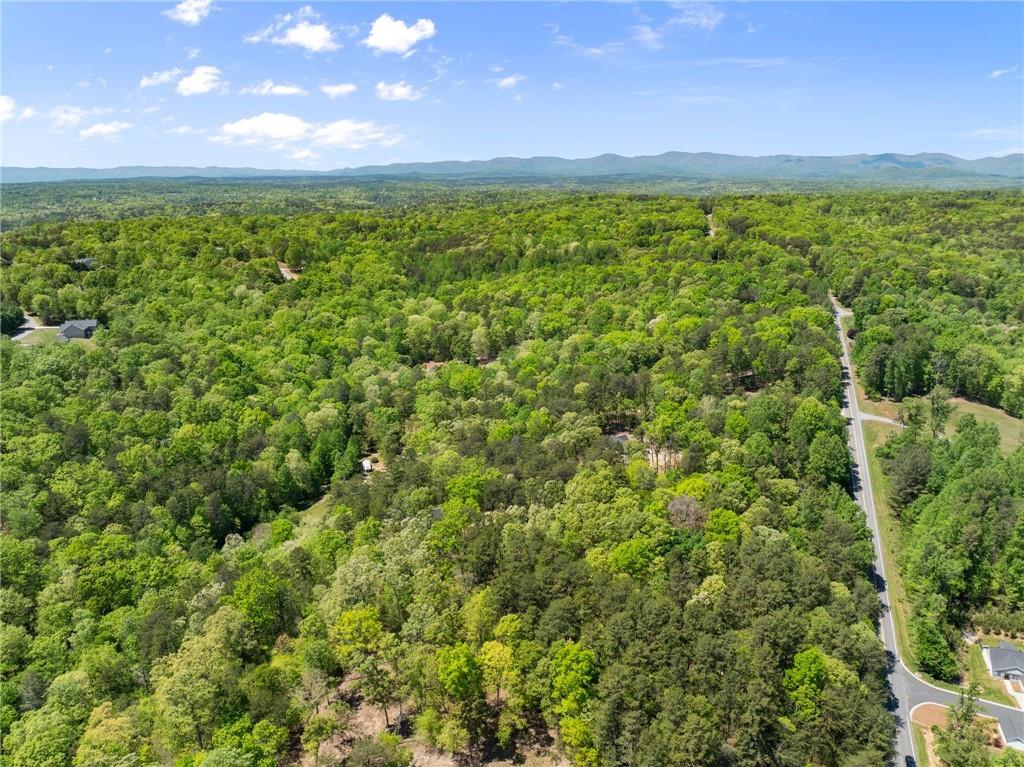 2184 Ben Higgins Road Dahlonega, GA 30533 - Photo 43 of 47