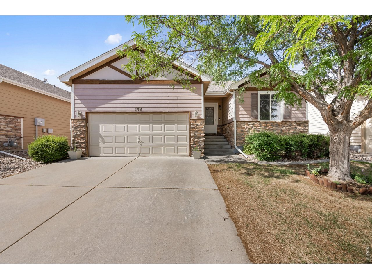 148 Beacon Way Windsor, CO 80550 - Photo 1 of 36 Front exterior straight-on view featuring a ranch design with stone accents, mature shade tree, oversized driveway, and inviting entry staircase leading to the covered front door.