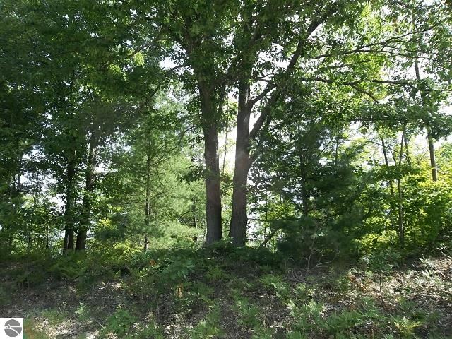 2576 Valley Road Northwest Kalkaska, MI 49646 - Photo 1 of 13 1789927.JPG