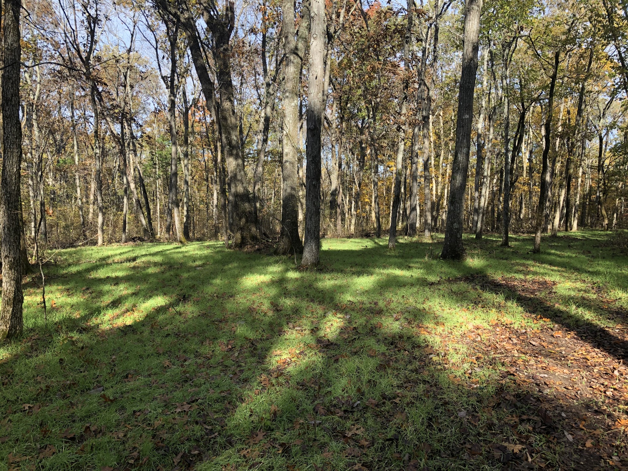 3956 Hill Road Rockvale, TN 37153 - Photo 43 of 49 Gallery Image 43