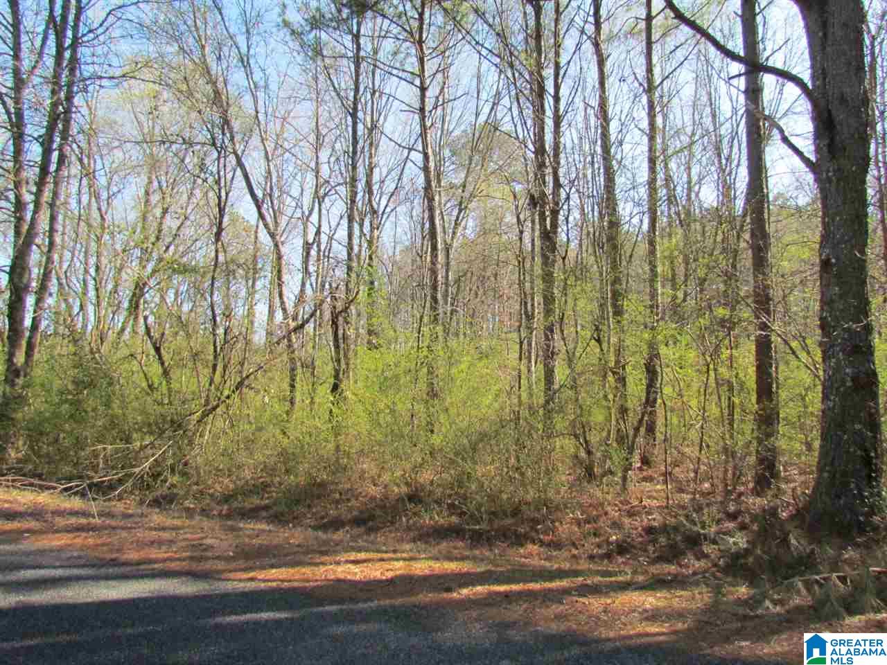 0 Petty Road Odenville, AL 35120 - Photo 1 of 5