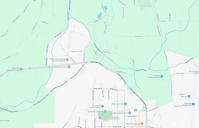 a view of a forest with a tree