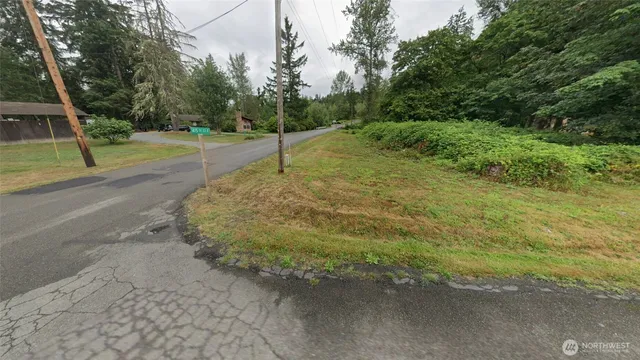 a view of a park with large trees