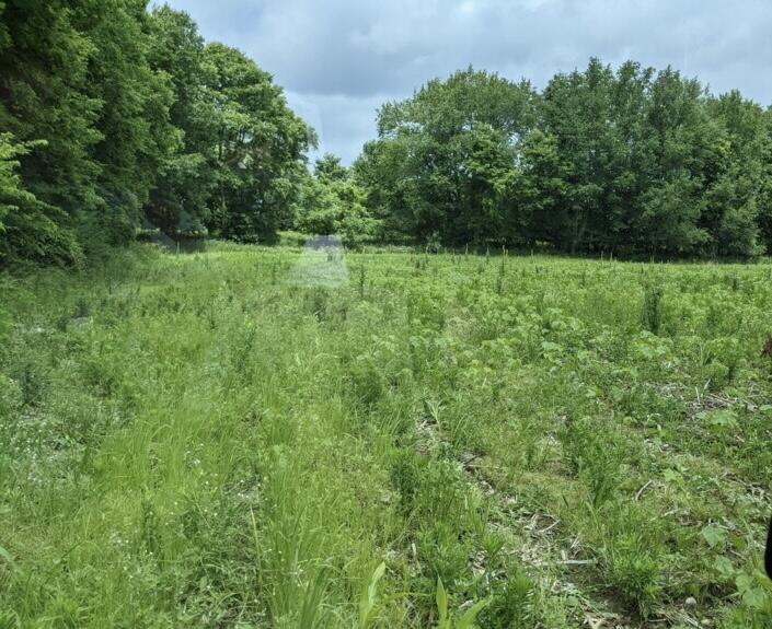 0 Pine Brook Lane Rives Junction, MI 49277 - Photo 3 of 4 imagejpeg_0 (1)