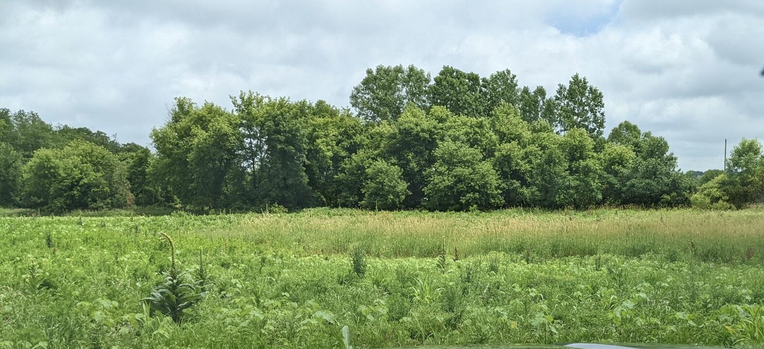 0 Pine Brook Lane Rives Junction, MI 49277 - Photo 4 of 4 image000000