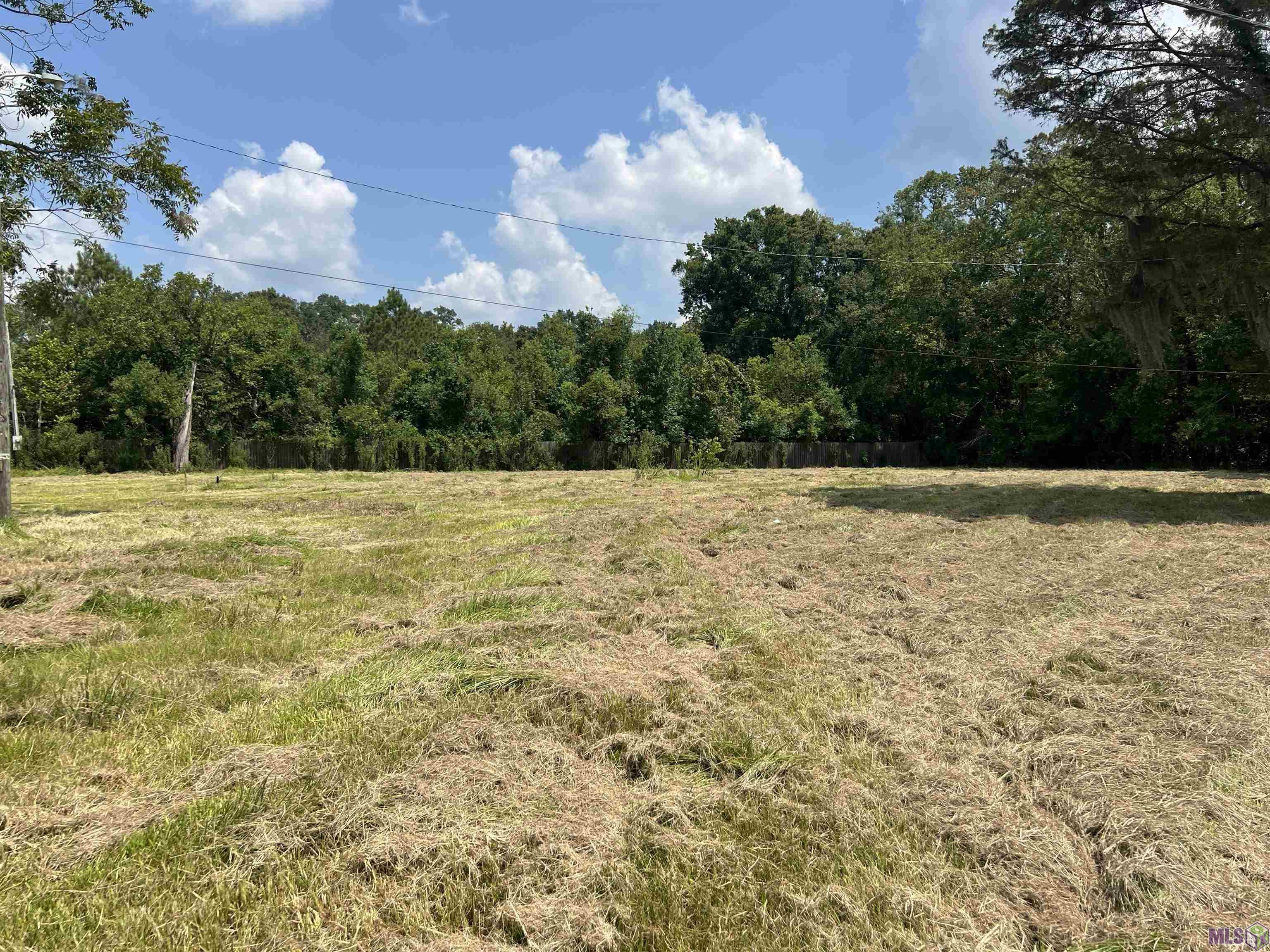 12226 Peter Bourgeois Road St. Amant, LA 70774 - Photo 2 of 3 Gallery Image 2