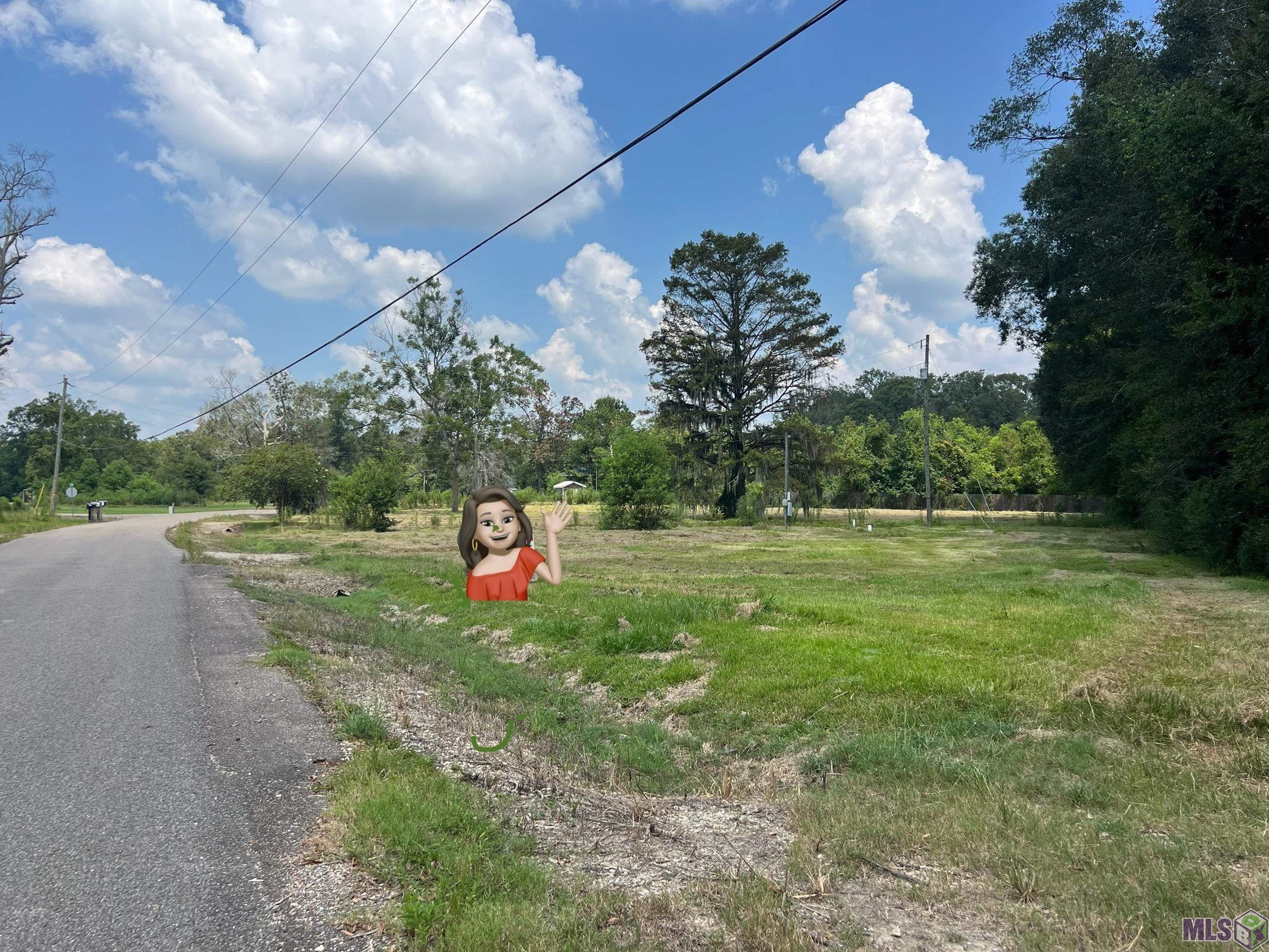 12226 Peter Bourgeois Road St. Amant, LA 70774 - Photo 3 of 3 Gallery Image 3