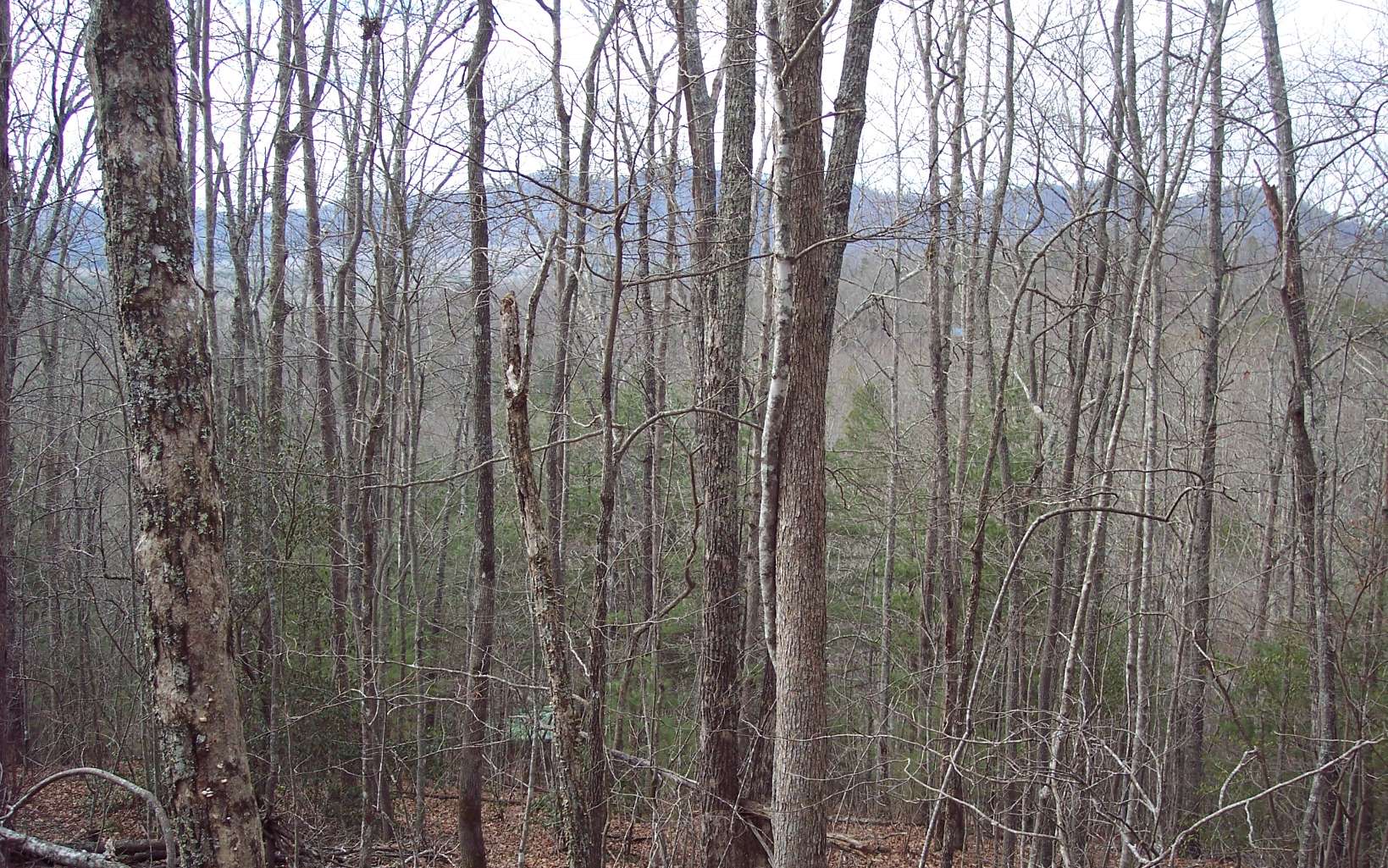 Lot32 High Ridge Road Murphy, NC 28906 - Photo 1 of 1 Main View