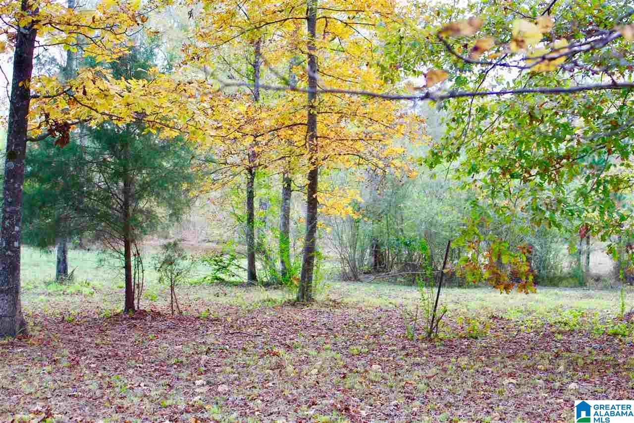 4861 Old Highway 280 Sterrett, AL 35147 - Photo 45 of 45