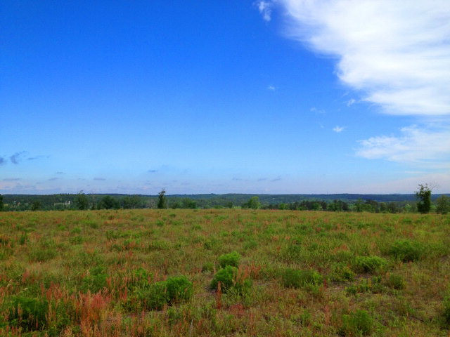 Tract B Township Road Aiken, SC 29803 - Photo 10 of 19