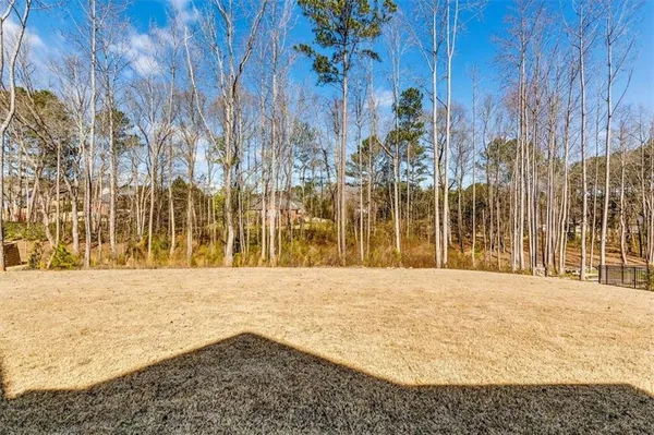 $1,350,000 | 155 Dean Drive, Tyrone, GA 30290