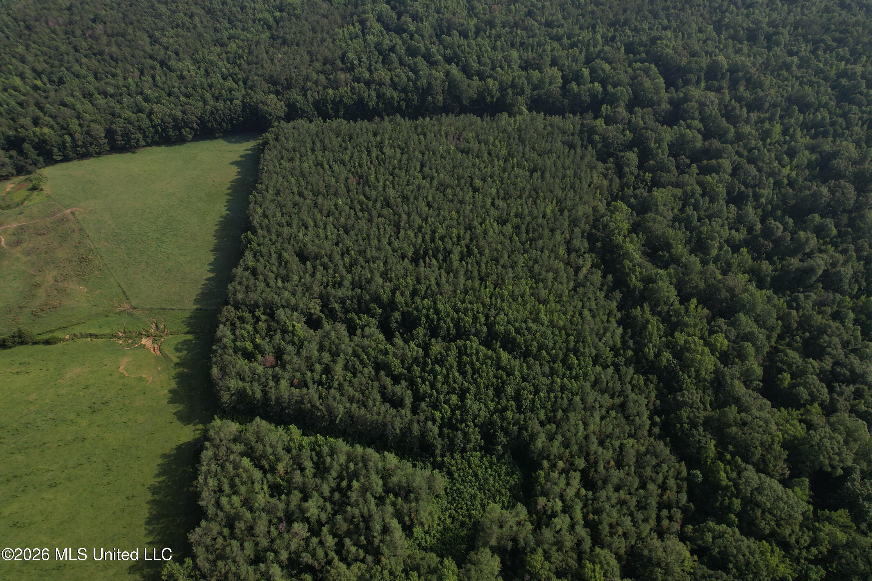 Monte Vista Road Eupora, MS 39744 - Photo 46 of 54 dji_fly_20260703_084834_174_178308680863