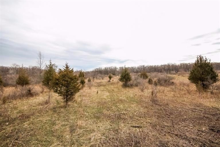 3294 North Lima Center Road Dexter, MI 48130 - Photo 3 of 7 Photo 3