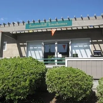 a view of a swimming pool and a terrace