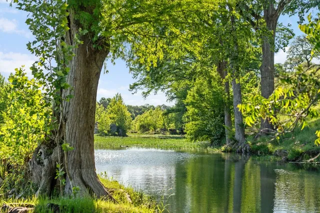 a view of outdoor space and yard
