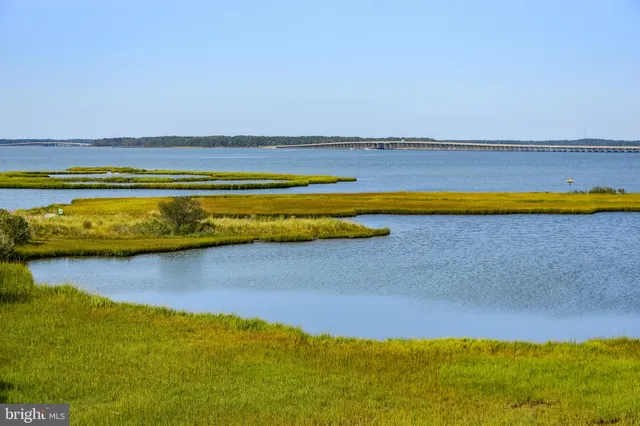 a view of an outdoor space and swimming pool