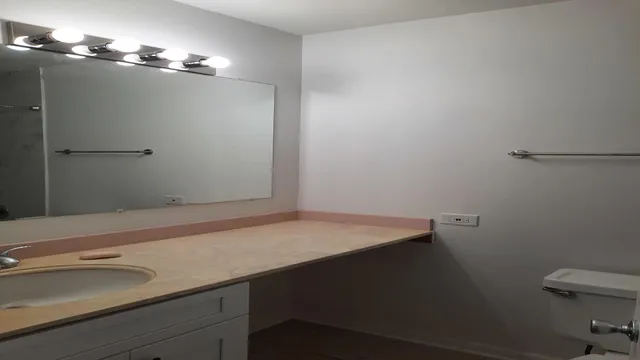 a bathroom with a sink and a toilet