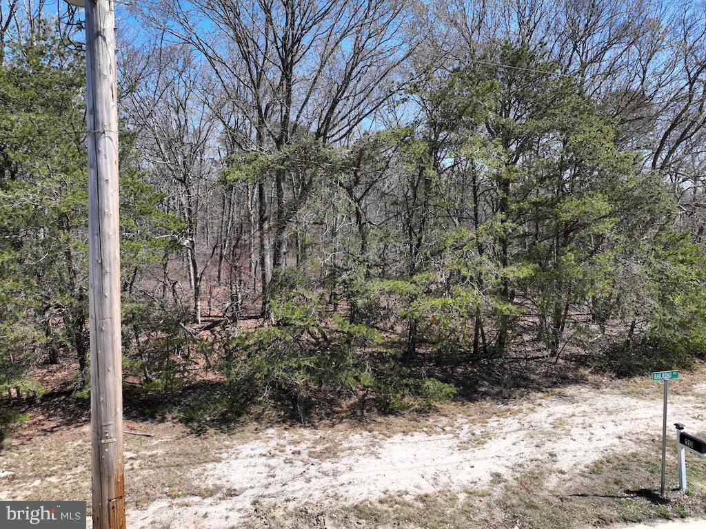 351 Shaws Mill Road Cedarville, NJ 08311 - Photo 81 of 84