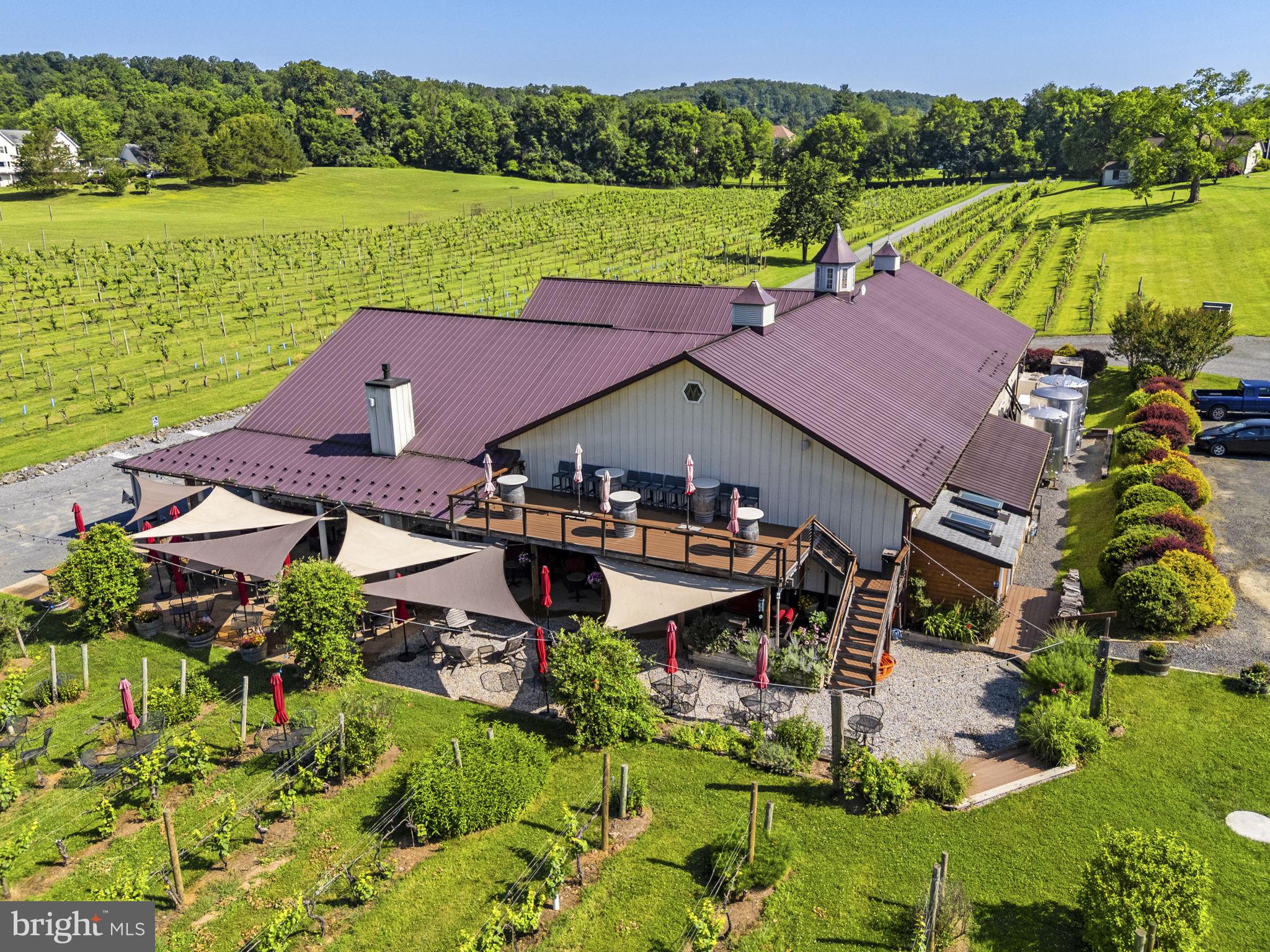 6190 Georgetown Road Broad Run, VA 20137 - Photo 23 of 95 Pearmund Cellars from above