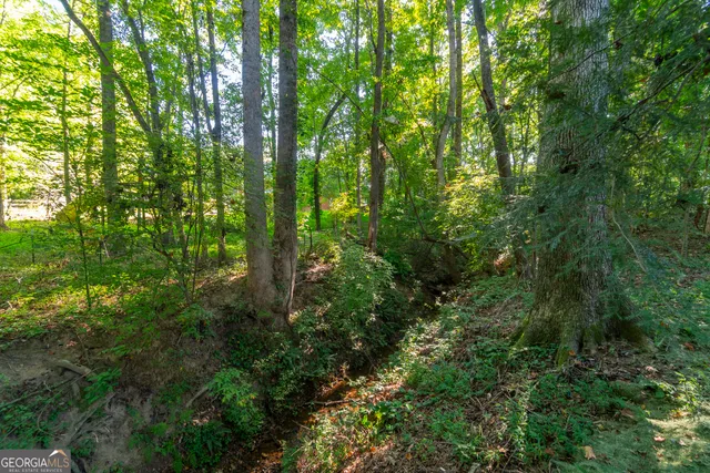 $589,900 | 102 Trent Trail, Cleveland, GA 30528