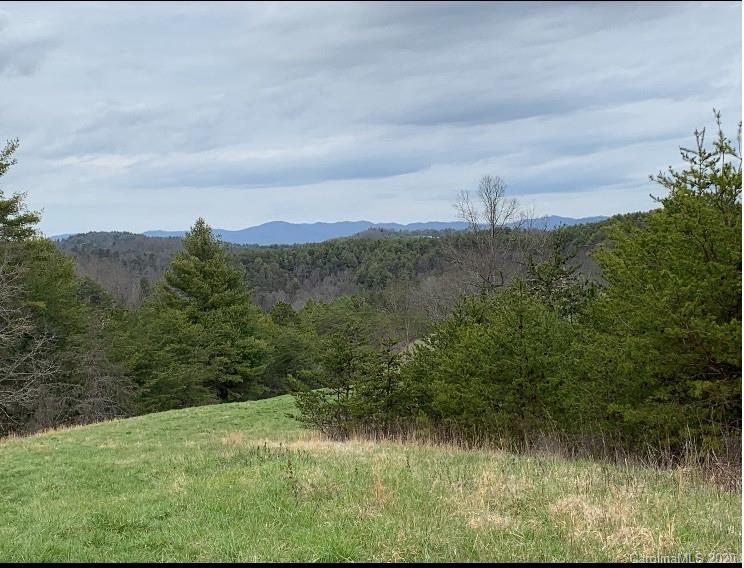 672 Curtis Parker Road Alexander, NC 28701 - Photo 16 of 23 Gallery Image 16