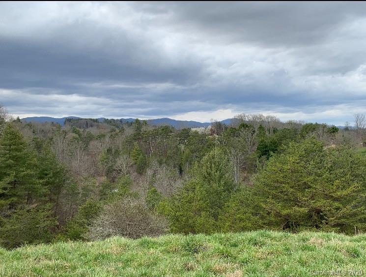 672 Curtis Parker Road Alexander, NC 28701 - Photo 18 of 23 Gallery Image 18