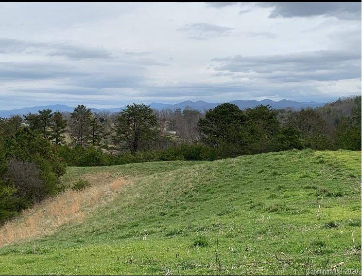 672 Curtis Parker Road Alexander, NC 28701 - Photo 19 of 23 Gallery Image 19